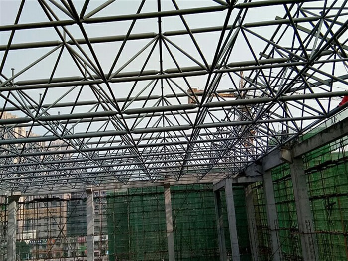 汕尾光谷第十一小学网架